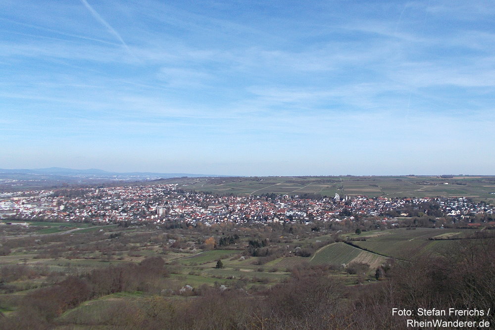 Inselrhein: Blick vom Bismarckturm auf Ingelheim - Foto: Stefan Frerichs / RheinWanderer.de