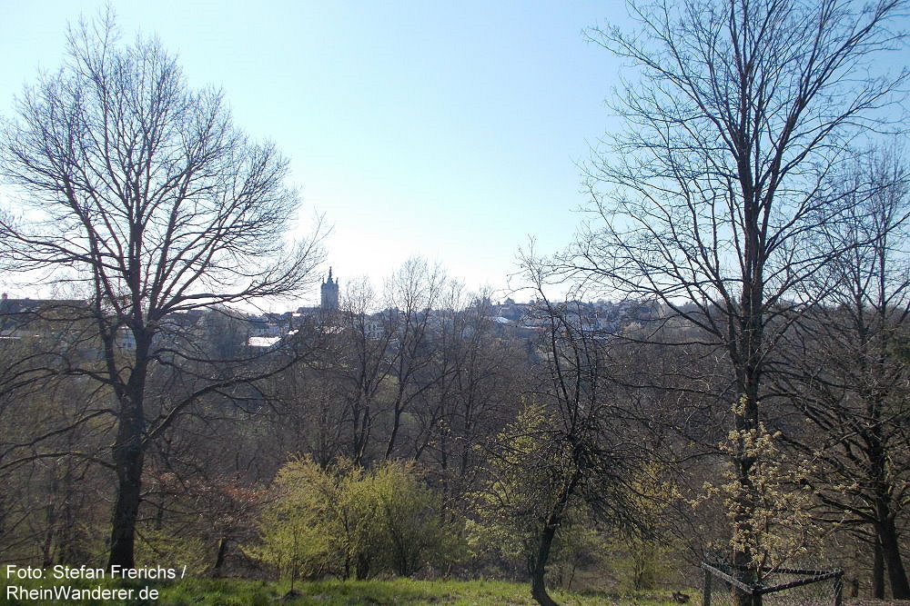 Inselrhein: Blick auf Rauenthal - Foto: Stefan Frerichs / RheinWanderer.de