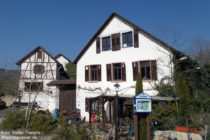 Inselrhein: Eulenmühle bei Großwinternheim - Foto: Stefan Frerichs / RheinWanderer.de