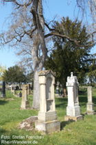 Inselrhein: Friedhof von Bubenheim - Foto: Stefan Frerichs / RheinWanderer.de