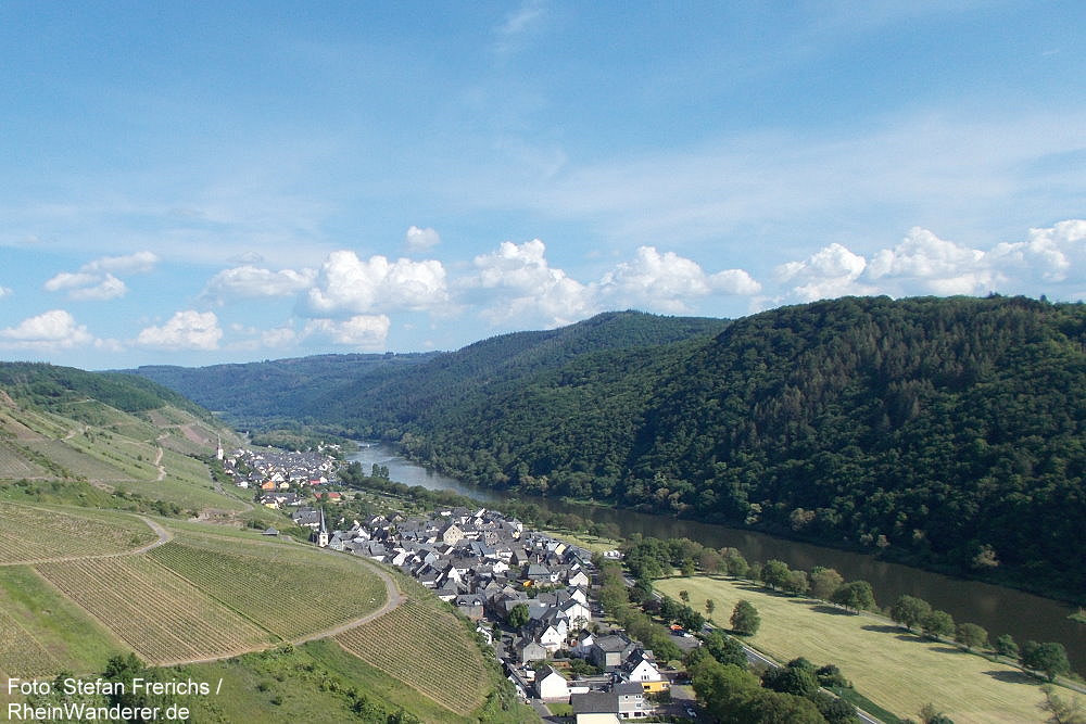 Mosel: Blick auf Ediger-Eller - Foto: Stefan Frerichs / RheinWanderer.de