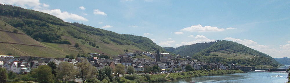 Mosel: Blick von der Moselbrücke auf Neef - Foto: Stefan Frerichs / RheinWanderer.de