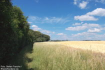 Niederrhein: Neanderlandsteig vor Schloss Laach - Foto: Stefan Frerichs / RheinWanderer.de