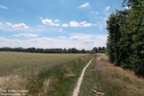 Niederrhein: Neanderlandsteig vor Monheim - Foto: Stefan Frerichs / RheinWanderer.de