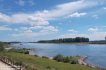 Niederrhein: Rheinblick bei Gut Blee bei Monheim - Foto: Stefan Frerichs / RheinWanderer.de