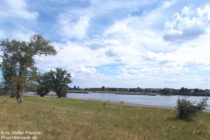 Niederrhein: Rheinblick auf Köln-Worringen - Foto: Stefan Frerichs / RheinWanderer.de