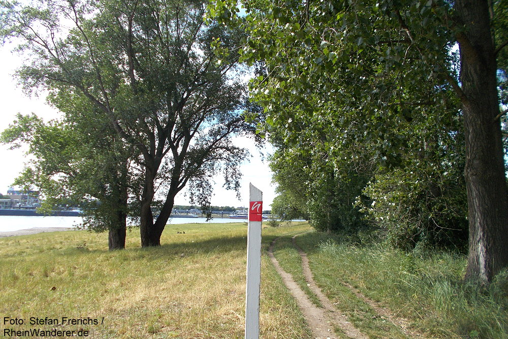 Niederrhein: Neanderlandsteig im Monheimer Rheinbogen - Foto: Stefan Frerichs / RheinWanderer.de