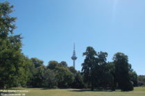 Neckar: Blick vom Luisenpark auf den Fernmeldeturm Mannheim - Foto: Stefan Frerichs / RheinWanderer.de