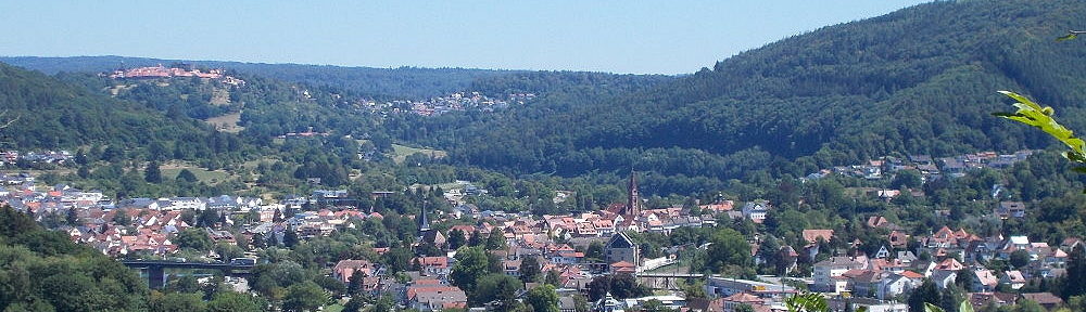 Neckar: Blick auf Neckargemünd - Foto: Stefan Frerichs / RheinWanderer.de