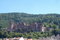Neckar: Blick auf das Heidelberger Schloss - Foto: Stefan Frerichs / RheinWanderer.de