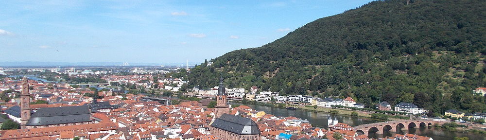 Neckar: Blick auf die Altstadt von Heidelberg - Foto: Stefan Frerichs / RheinWanderer.de