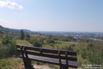 Odenwald: Blick über Zwingenberger Weinberge auf Auerbach - Foto: Stefan Frerichs / RheinWanderer.de