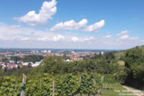 Odenwald: Blick am Bensheimer Hemsberg auf Bensheim - Foto: Stefan Frerichs / RheinWanderer.de