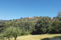 Neckar: Talblick auf die Bergfeste Dilsberg - Foto: Stefan Frerichs / RheinWanderer.de