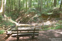 Odenwald: Amphibientümpel an der Sparerrast - Foto: Stefan Frerichs / RheinWanderer.de