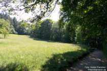 Odenwald: Wanderweg am Wambolder Sand - Foto: Stefan Frerichs / RheinWanderer.de