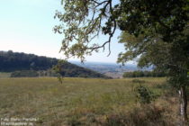 Odenwald: Blick in den Spelzengrund bei Hemsbach - Foto: Stefan Frerichs / RheinWanderer.de