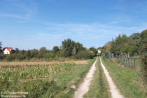 Odenwald: Weg vor Hemsbach - Foto: Stefan Frerichs / RheinWanderer.de