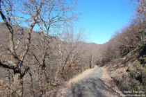 Mittelrhein: Wanderweg im Retzbachtal bei Lorchhausen - Foto: Stefan Frerichs / RheinWanderer.de