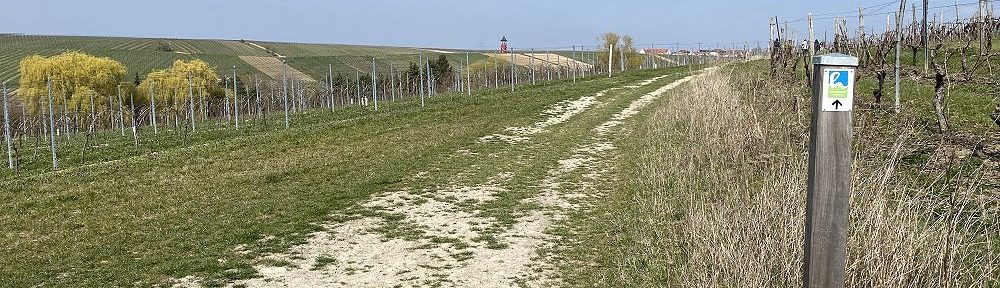 Oberrhein: Wanderweg mit Blick auf Burgunderturm - Foto: Stefan Frerichs / RheinWanderer.de