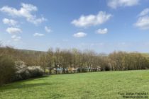 Inselrhein: Blick auf das Neubornbad - Foto: Stefan Frerichs / RheinWanderer.de