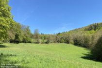 Odenwald: Waldlichtung beim Gorxheimer Tal - Foto: Stefan Frerichs / RheinWanderer.de