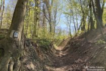 Odenwald: Hohlweg beim Neuen Forstweg nahe Weinheim - Foto: Stefan Frerichs / RheinWanderer.de