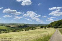 Ahr: Wanderweg vor Löhndorf - Foto: Stefan Frerichs / RheinWanderer.de