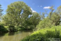 Ahr: Blick auf die Ahr bei Sinzig - Foto: Stefan Frerichs / RheinWanderer.de