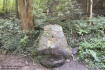 Odenwald: Brunnen der Höllenquelle - Foto: Stefan Frerichs / RheinWanderer.de