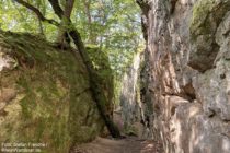 Odenwald: Blick in die Spatschlucht von Osten - Foto: Stefan Frerichs / RheinWanderer.de