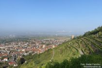 Odenwald: Blick auf Schriesheim und die Strahlenburg - Foto: Stefan Frerichs / RheinWanderer.de