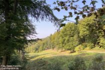 Odenwald: Blick ins Mühlbachtal - Foto: Stefan Frerichs / RheinWanderer.de