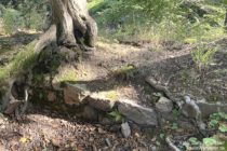 Odenwald: Mauerreste der Ruine Kronenburg - Foto: Stefan Frerichs / RheinWanderer.de