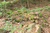 Odenwald: Mauerreste der Ruine Wolfsgrund bei Dossenheim - Foto: Stefan Frerichs / RheinWanderer.de