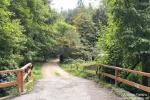 Odenwald: Brücke über den Kanzelbach - Foto: Stefan Frerichs / RheinWanderer.de