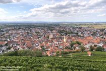 Odenwald: Blick von der Strahlenburg auf Schriesheim - Foto: Stefan Frerichs / RheinWanderer.de