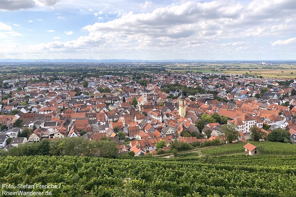 Odenwald: Blick von der Strahlenburg auf Schriesheim - Foto: Stefan Frerichs / RheinWanderer.de