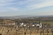 Nahe: Blick auf Laubenheim - Foto: Stefan Frerichs / RheinWanderer.de