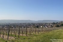 Nahe: Blick auf Winzenheim - Foto: Stefan Frerichs / RheinWanderer.de