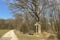 Nahe: Aussichtspunkt Donnersbergblick am Langenlonsheimer Wald - Foto: Stefan Frerichs / RheinWanderer.de