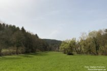 Pfälzerwald: Geiersteinbachtal bei Busenberg - Foto: Stefan Frerichs / RheinWanderer.de