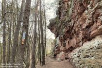 Pfälzerwald: Pfälzer Waldpfad am Kuckucksfelsen bei Dahn - Foto: Stefan Frerichs / RheinWanderer.de