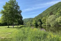 Nahe: Naheufer im Roseninsel-Park in Bad Kreuznach - Foto: Stefan Frerichs / RheinWanderer.de