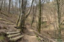 Pfälzerwald: Wanderweg am Aussichtspunkt Adelsbergblick bei Hauenstein - Foto: Stefan Frerichs / RheinWanderer.de