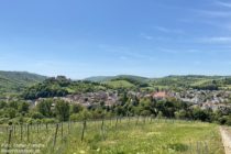 Nahe: Blick auf Burg und Ort Ebernburg - Foto: Stefan Frerichs / RheinWanderer.de