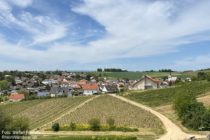 Nahe: Blick auf Traisen - Foto: Stefan Frerichs / RheinWanderer.de