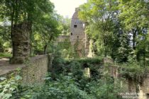 Nahe: Ruine des Abteibaus von Kloster Disibodenberg - Foto: Stefan Frerichs / RheinWanderer.de