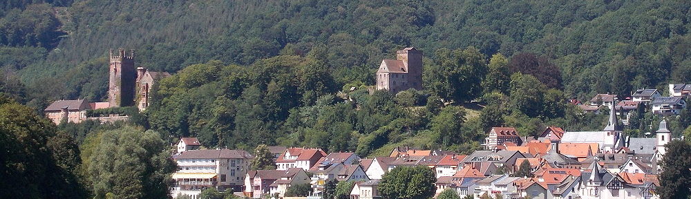 Neckar: Blick auf Neckarsteinach - Foto: Stefan Frerichs / RheinWanderer.de