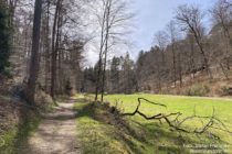 Pfälzerwald: Wanderweg im Märtelbachtal - Foto: Stefan Frerichs / RheinWanderer.de